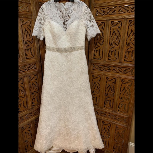 Venus bridals 🦋🦋🦋🦋🦋 - Picture 2 of 7